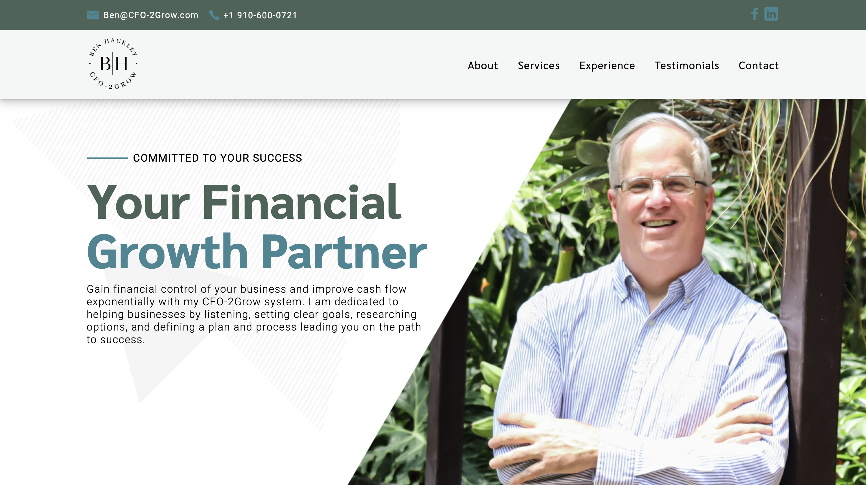 CFO-2Grow Landing Page